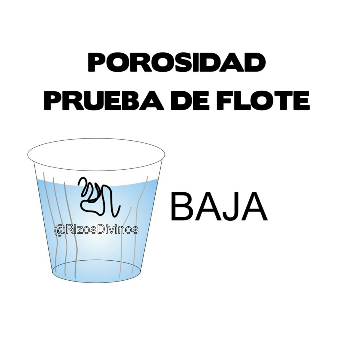 ¿Qué es la Porosidad Del Cabello? Y ¿Cómo  Hacer La Prueba De Porosidad?