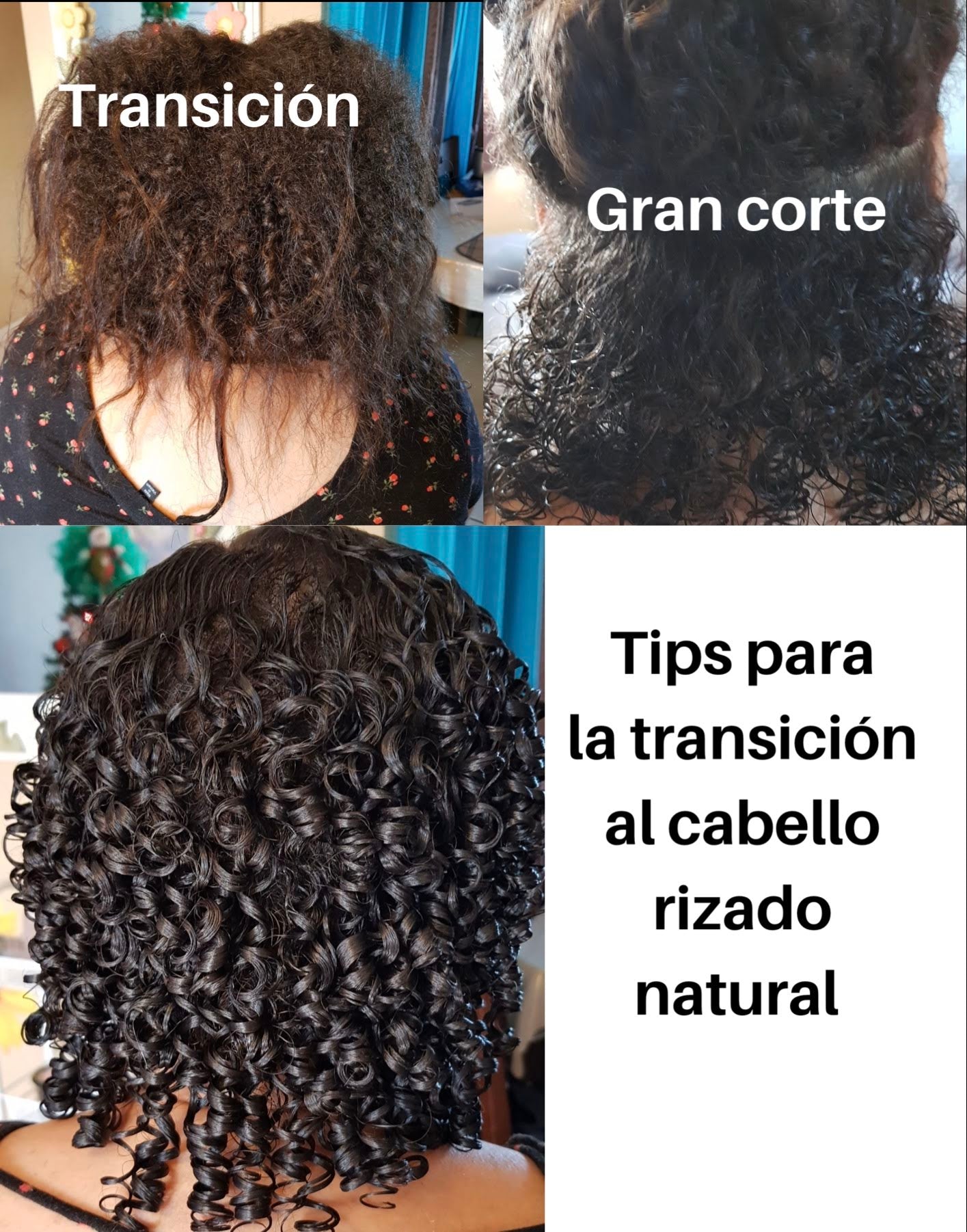 COMO COMENZAR LA TRANSICIÓN A TUS RIZOS NATURALES