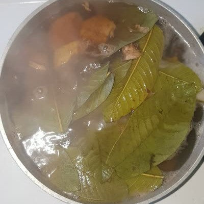 Infusión de Hojas de Guayaba para Evitar la Caída del Cabello y para el Crecimiento