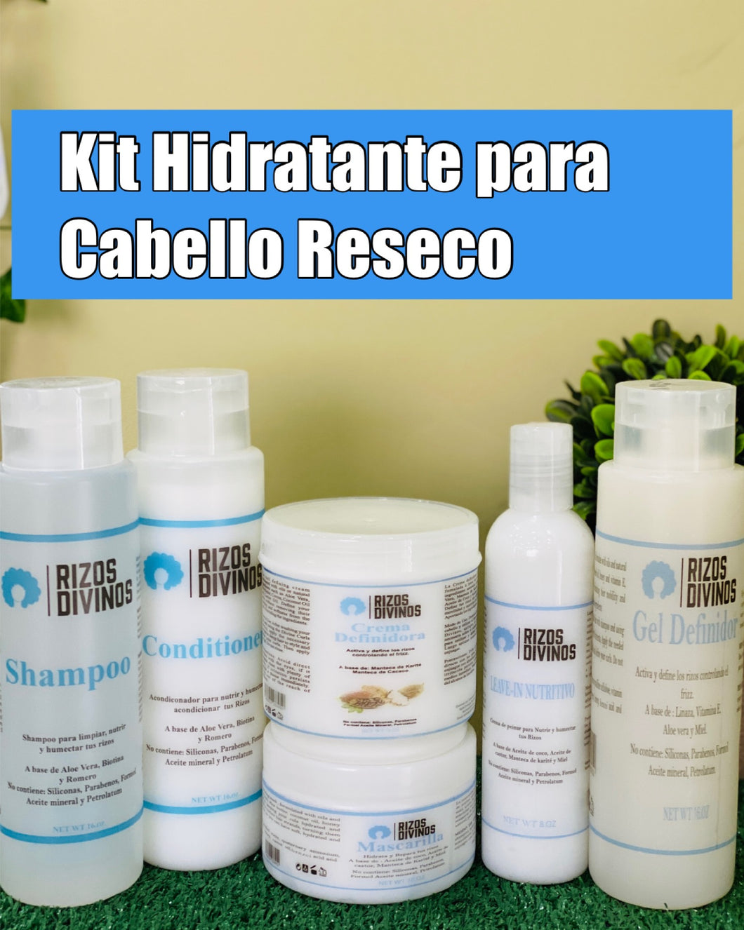 Kit de Hidratación y Definición para Cabello Rizado Reseco